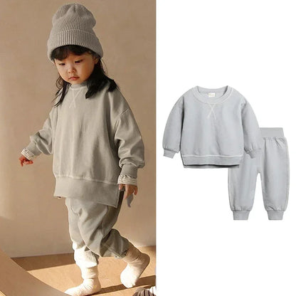 Pullover Sweatshirt and Pant Set